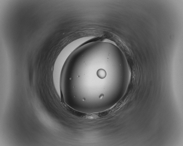 X0000116420333200912081509