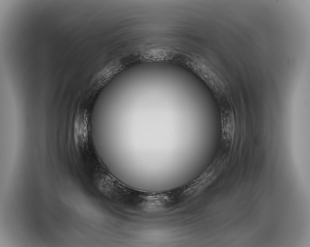 X0000116420334200912081509