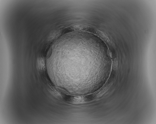 X0000116420335200912081509