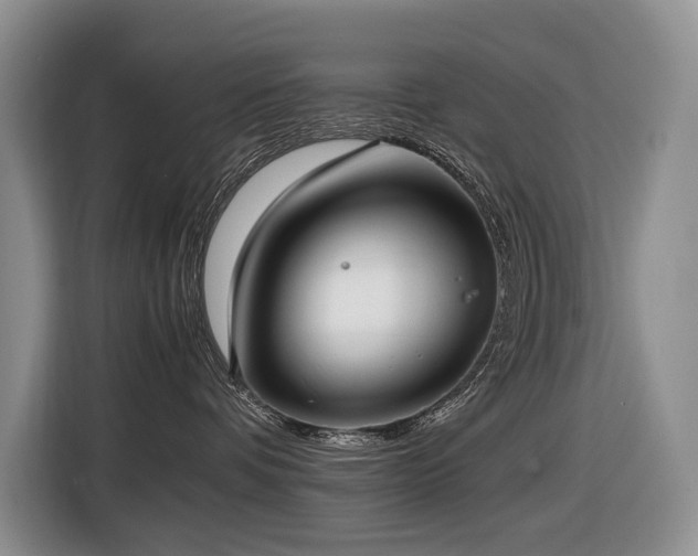 X0000116420336200912081509