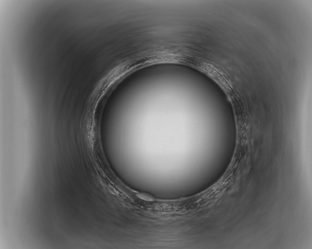 X0000116420338200912081508
