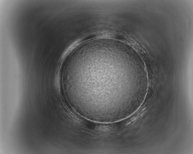 X0000116420341200912081508