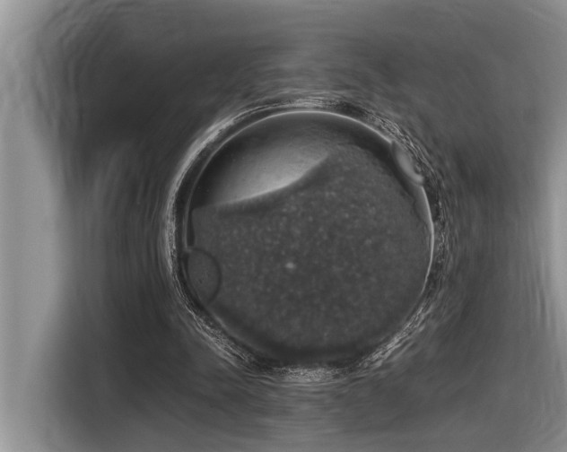 X0000116420342200912081508
