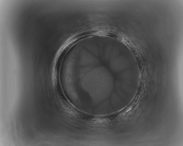 X0000116420343200912081508