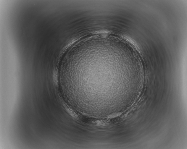 X0000116420345200912081508