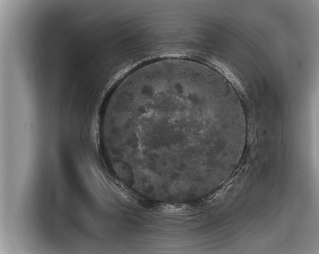 X0000116420346200912081508
