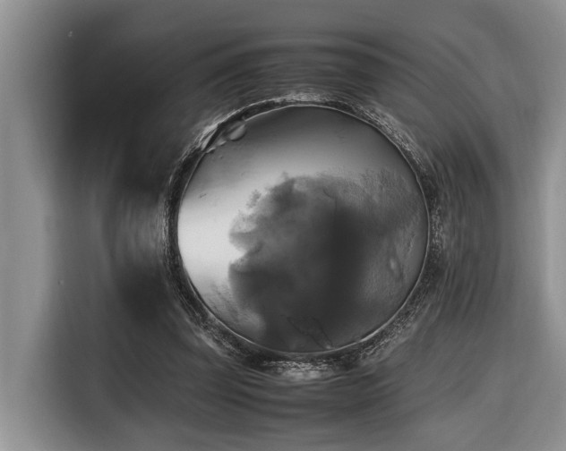X0000116420347200912081508