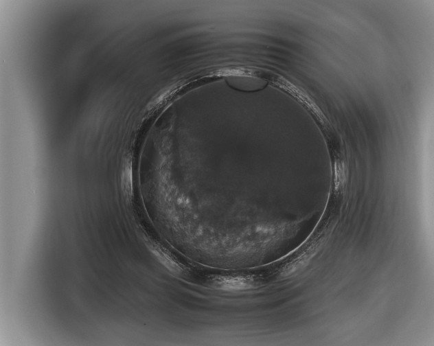 X0000116420349200912081508