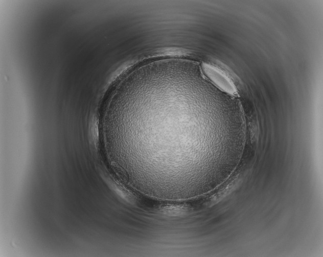 X0000116420350200912081508