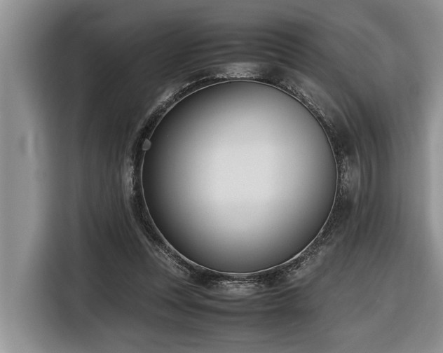 X0000116420351200912081508