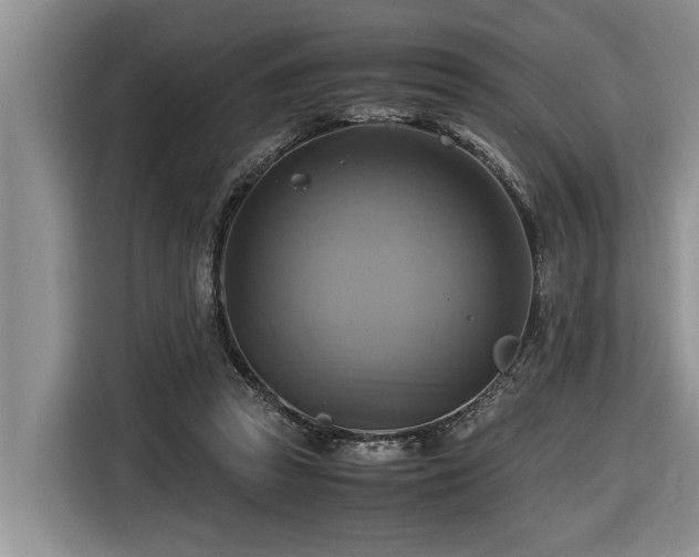 X0000116420353200912081508