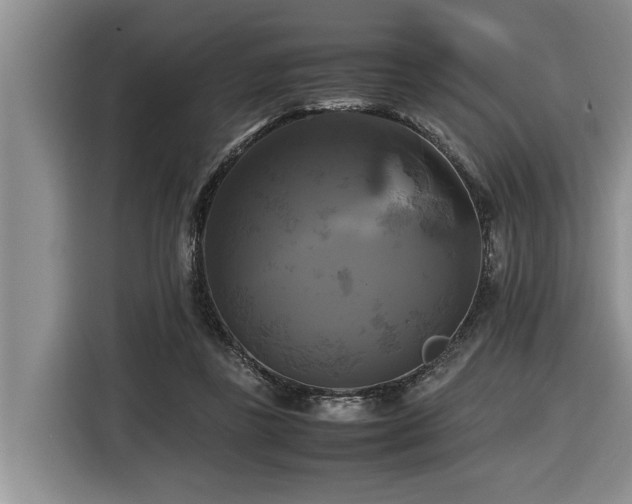 X0000116420355200912081508