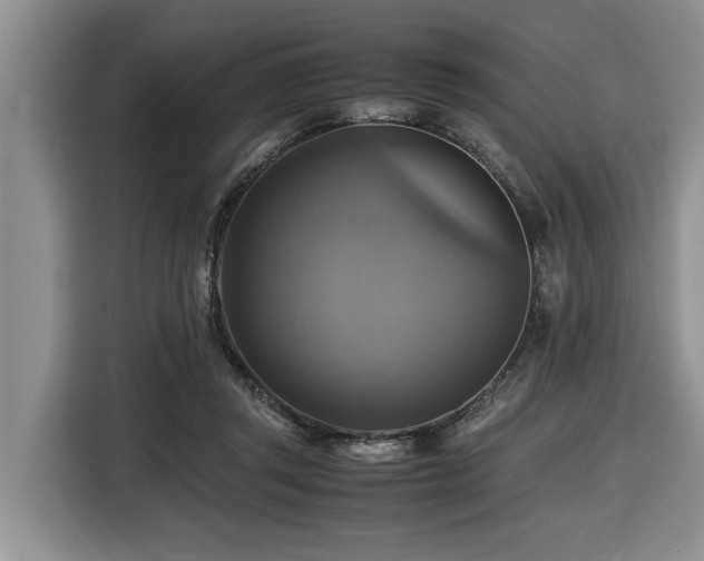 X0000116420357200912081508
