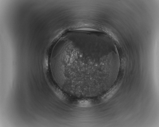 X0000116420358200912081508