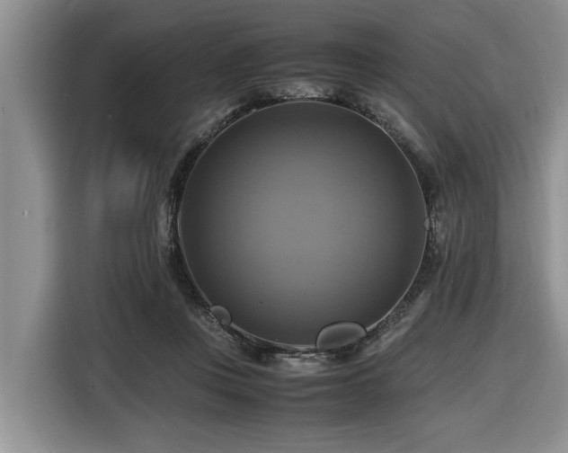 X0000116420359200912081508