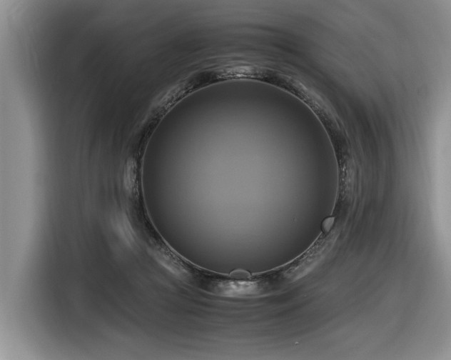 X0000116420361200912081508