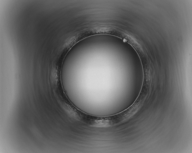 X0000116420362200912081509