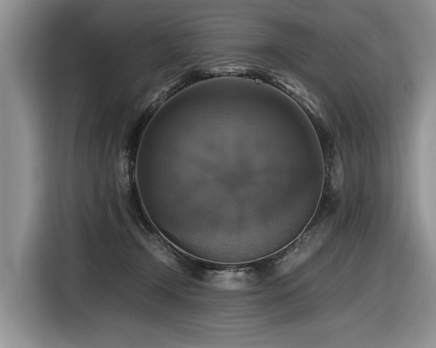 X0000116420366200912081509