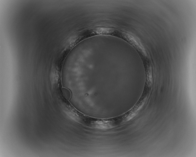 X0000116420367200912081509