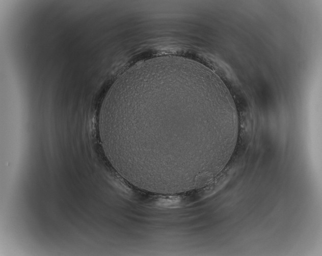 X0000116420369200912081509