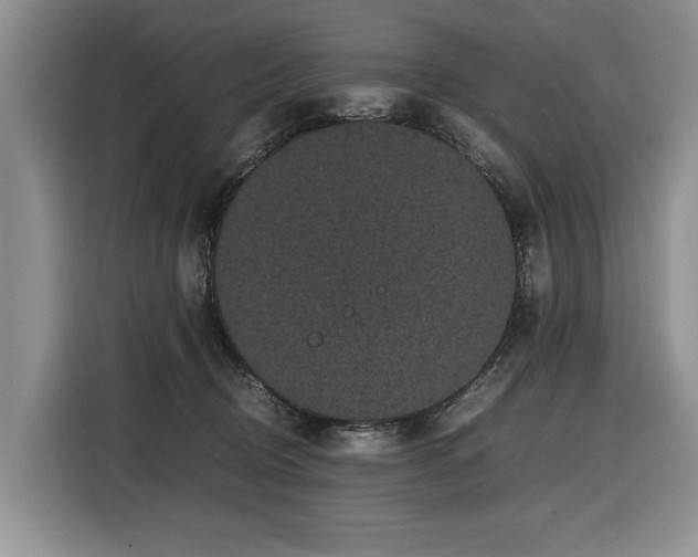 X0000116420370200912081509