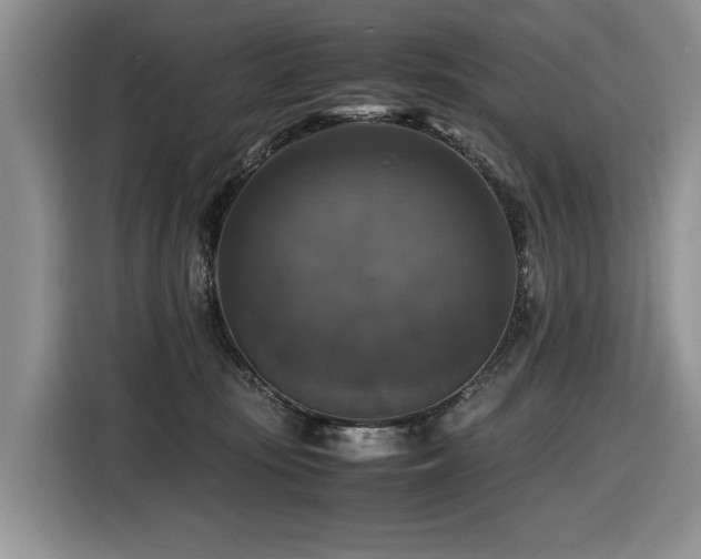 X0000116420371200912081509