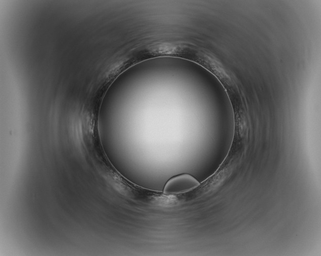 X0000116420374200912081509