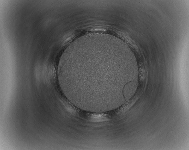 X0000116420375200912081509