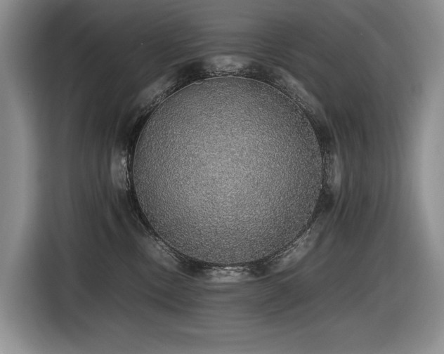 X0000116420378200912081509