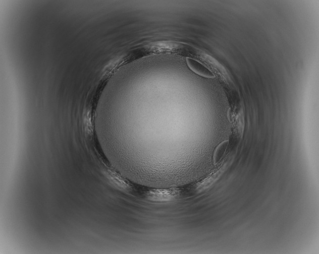 X0000116420381200912081509
