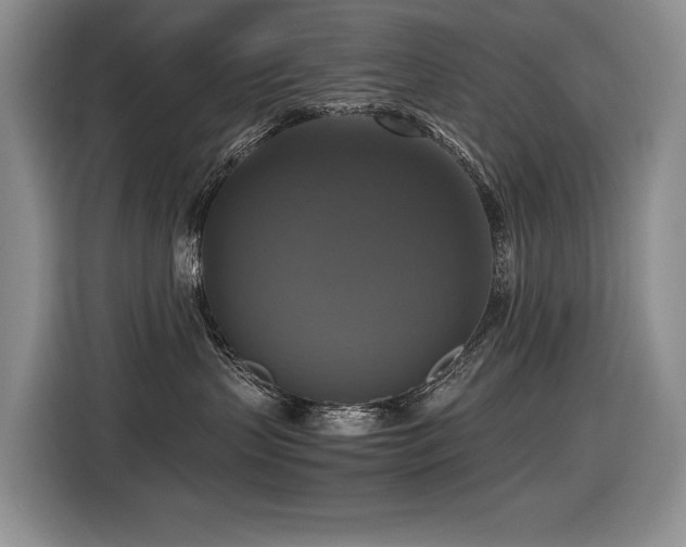X0000116420383200912081509