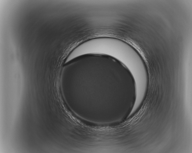 X0000116420385200912081508