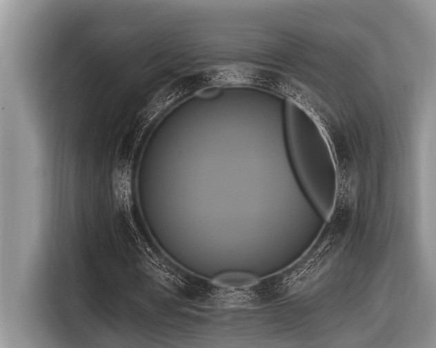 X0000116420386200912081508