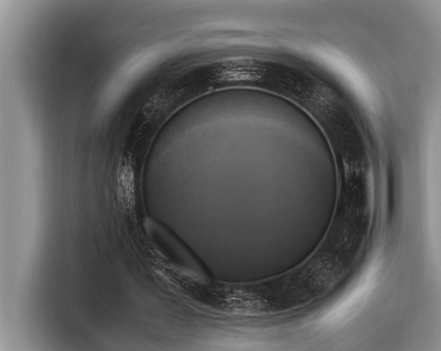 X0000116420387200912081508
