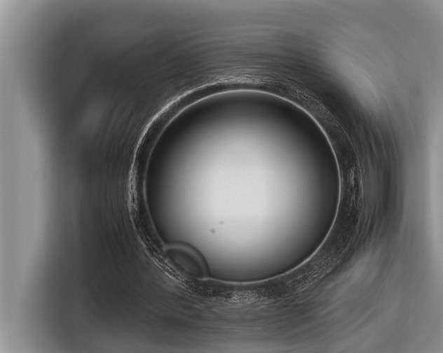 X0000116420388200912081508