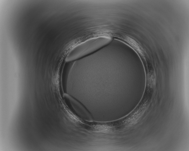 X0000116420389200912081508