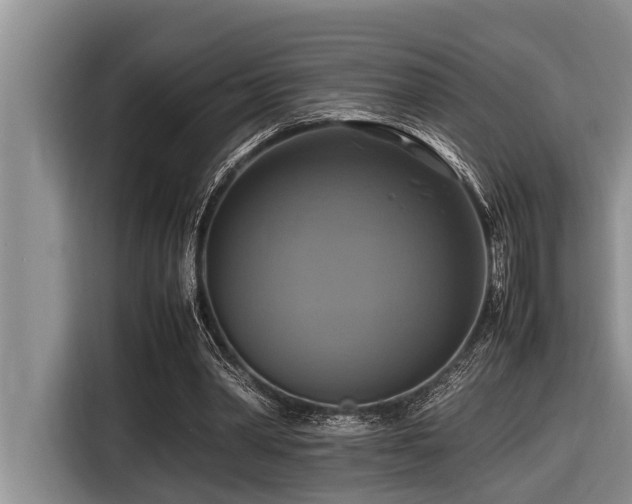 X0000116420390200912081508