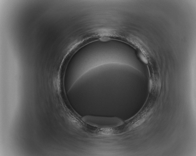 X0000116420391200912081508