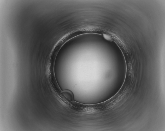 X0000116420392200912081508