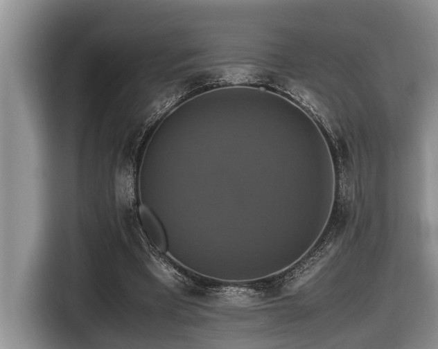 X0000116420393200912081508
