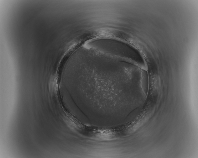 X0000116420395200912081508