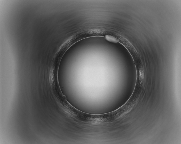 X0000116420396200912081508