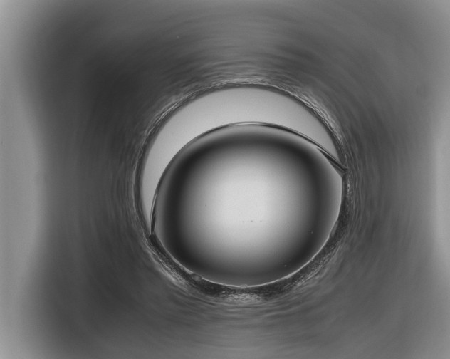 X0000116420397200912081508