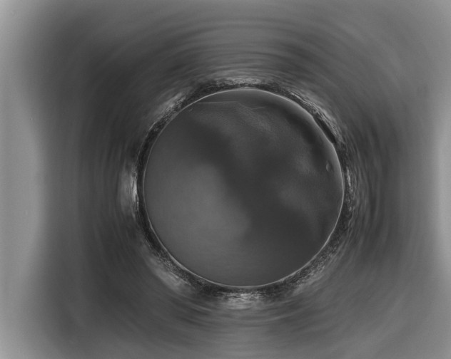 X0000116420398200912081508