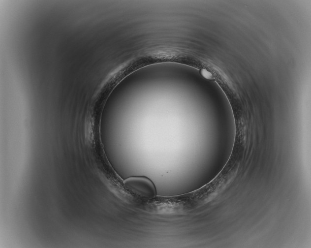 X0000116420400200912081508