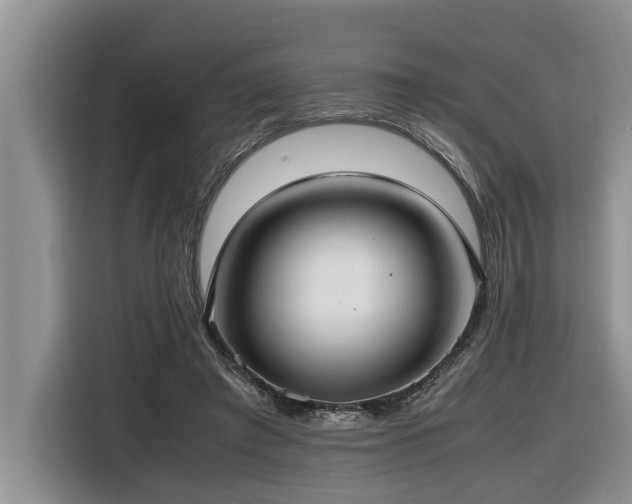 X0000116420401200912081508