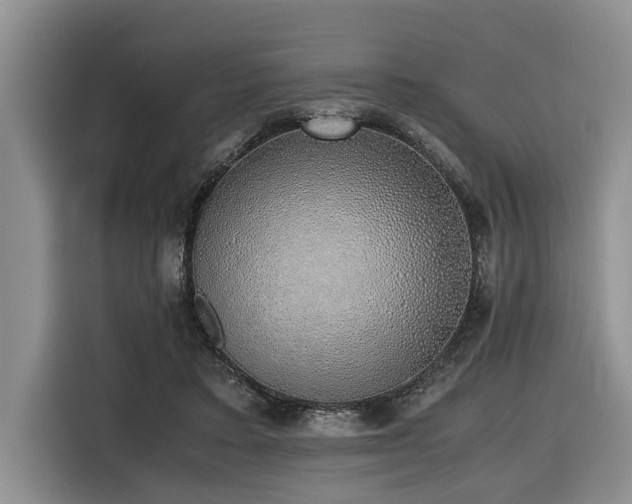 X0000116420403200912081508