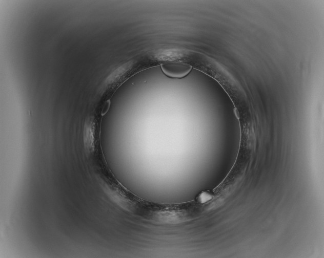 X0000116420404200912081508