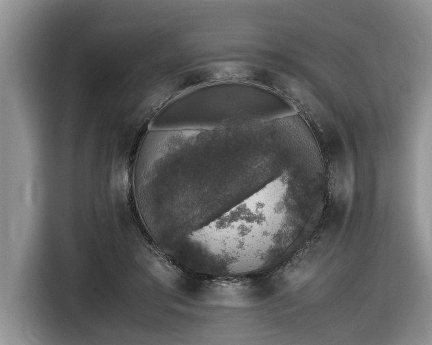 X0000116420405200912081508