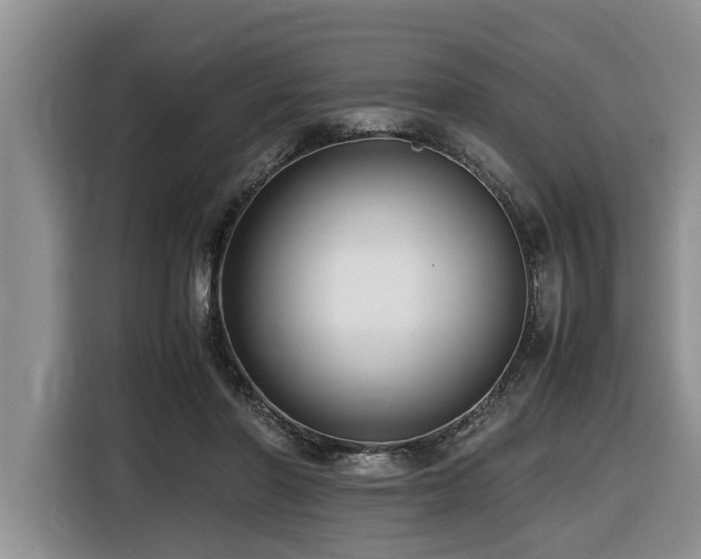 X0000116420406200912081508